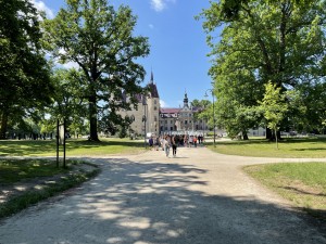 IMG_5271