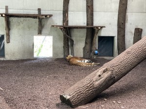IMG_5483